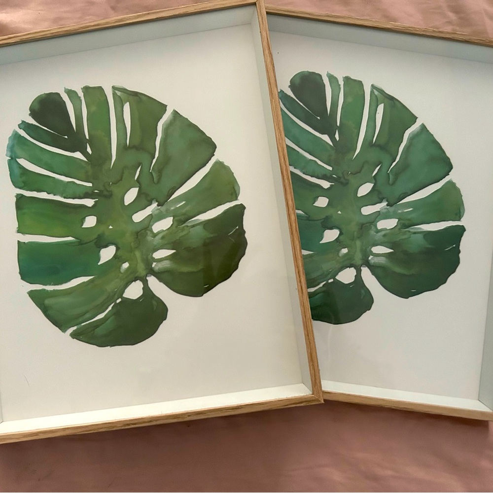 Two wall art  frames